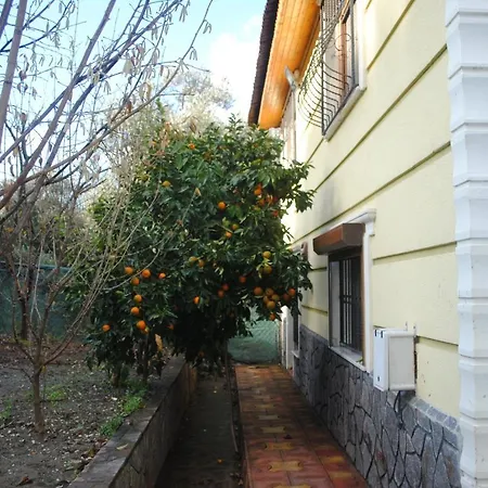 Narlica *